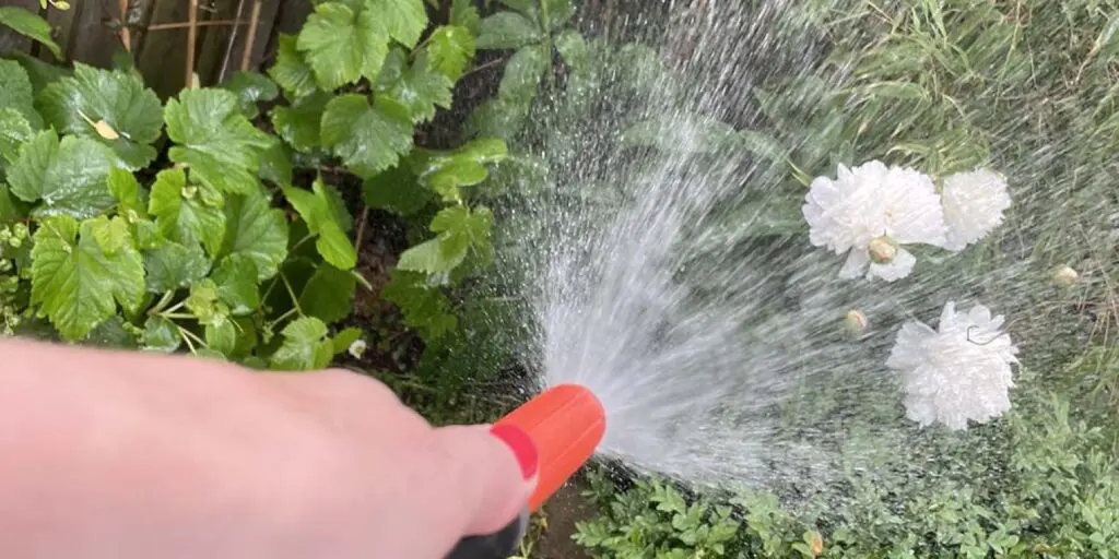 Bevattning fran Regnvattenatervinning Alnarp Cleanwater