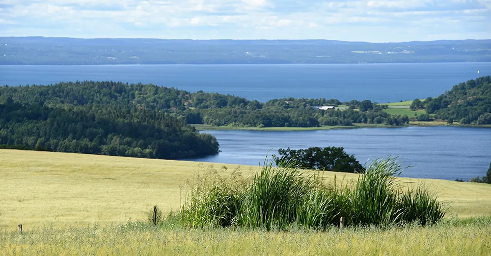 Kretslopp och hållbarhet