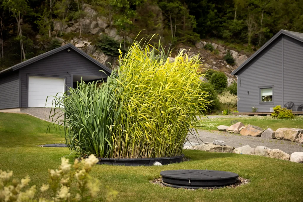Alnarp cleanwater enskilt avlopp bioreningsverk brevid uppfart