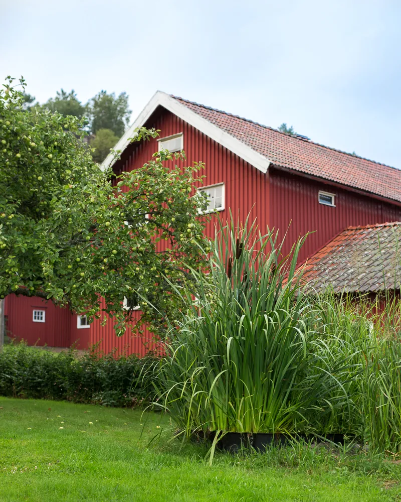 Alnarp cleanwater enskilt avlopp bioreningsverk i trädgård med plastkant