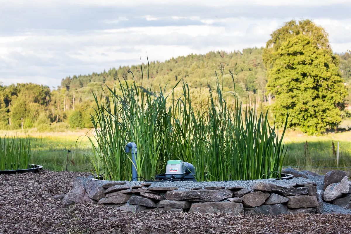 Alnarp cleanwater enskilt avlopp bioreningsverk i trädgård med stenkant 2