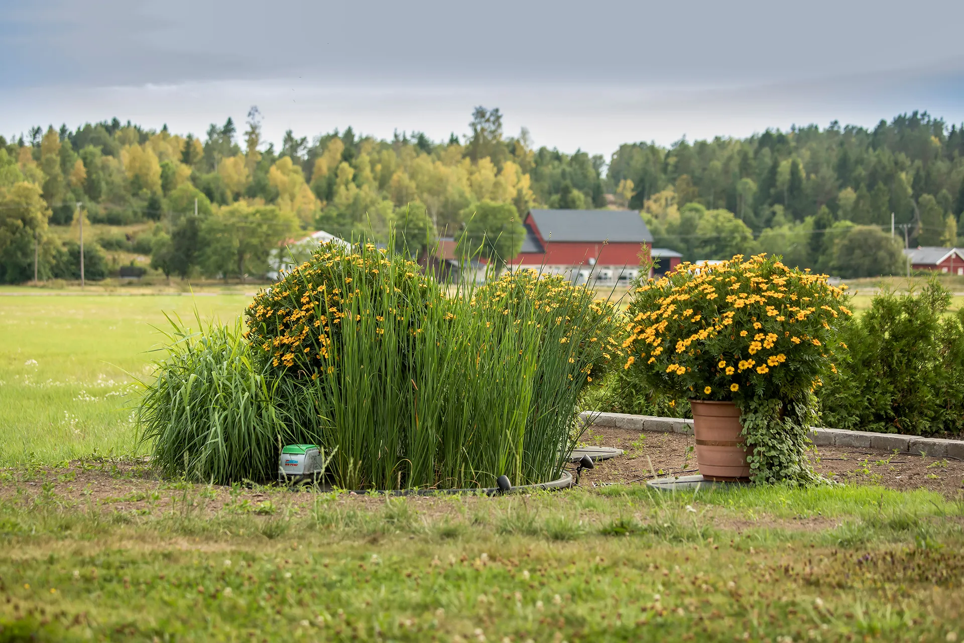 Alnarp cleanwater enskilt avlopp bioreningsverk på åker