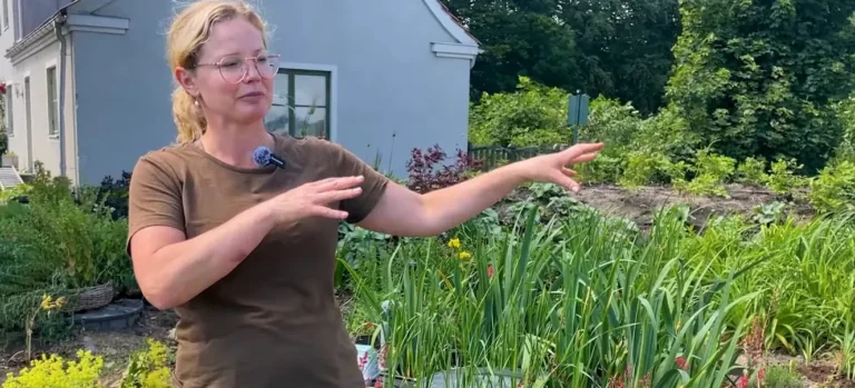 Österlenkryddor väljer ACT Bioreningsverk som enskilt avlopp YouTube(1)