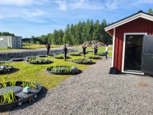 Sammankopplade bioreningsverk för större gemensamma avloppslösningar