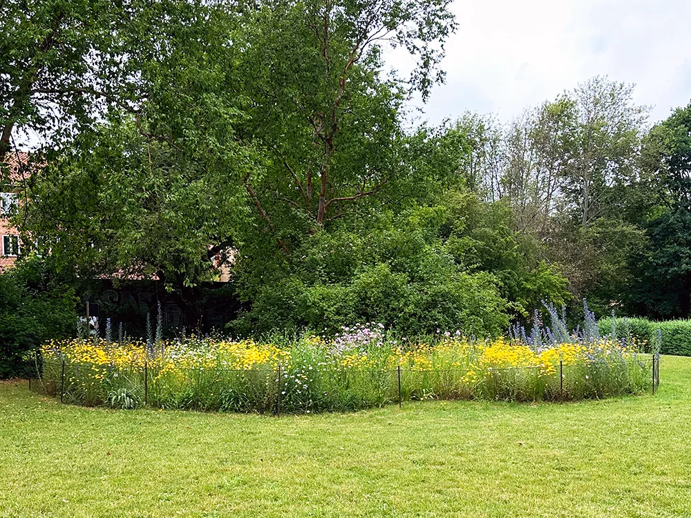 Äng Wilmannspark