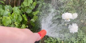 Bevattning fran Regnvattenatervinning Alnarp Cleanwater